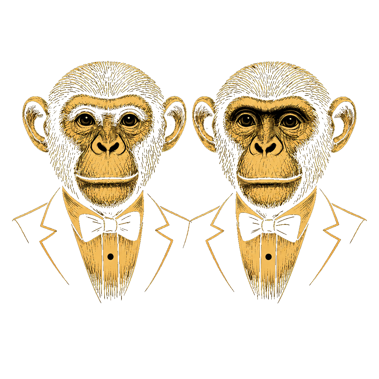 TWINS